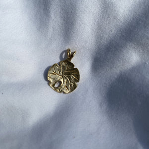 The Vintage Sand Dollar